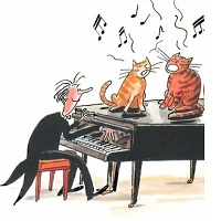 Problématique de formation musical des amateurs adultes